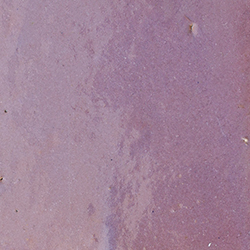 Acai